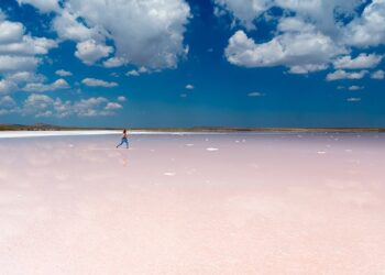 Розовое озеро Кобейтуз в Казахстане. Optimizm.kz