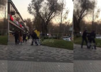 Фото: Кадр из видео kris_p_almaty