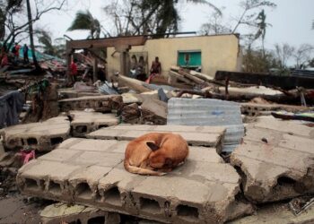 Фото: Reuters