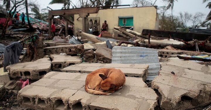 Фото: Reuters