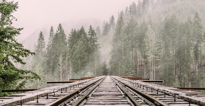 Иллюстративное фото \ Pixabay.com