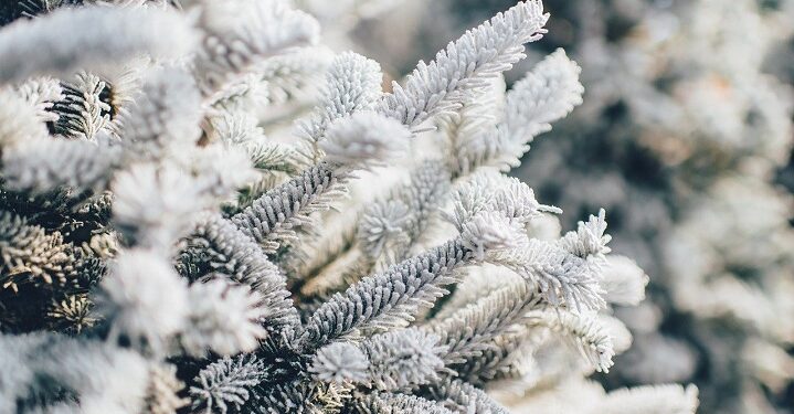 Иллюстративное фото \ Pixabay.com