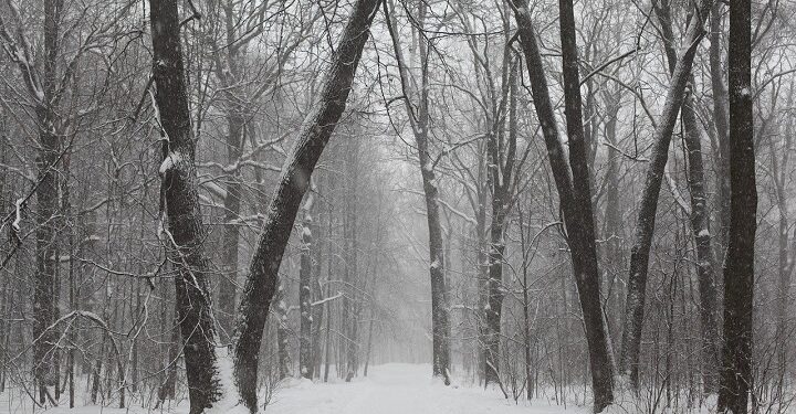 Иллюстративное фото \ Pixabay.com