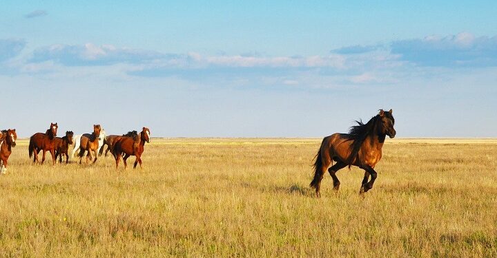 Иллюстративное фото \ Pixabay.com