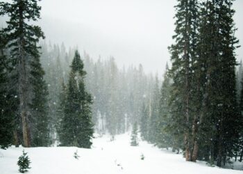 Иллюстративное фото  Pixabay.com
