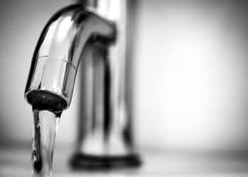 Иллюстративное фото \ Pixabay.com