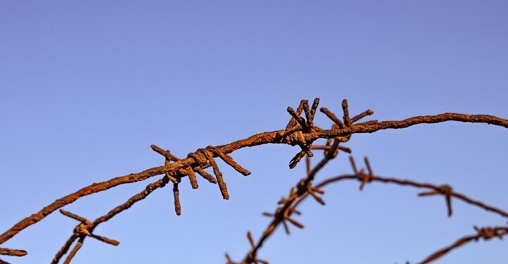 Проволка. Optimism.kz