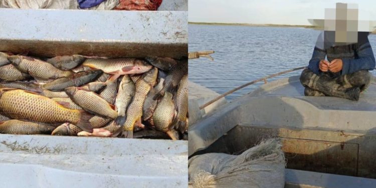 Двух рыбаков задержали за ловлю рыбы на территории Аральского моря
