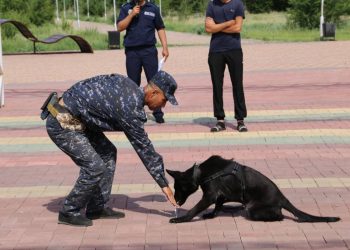 199 преступлений раскрыли с помощью служебных собак полицейские Актюбинской области