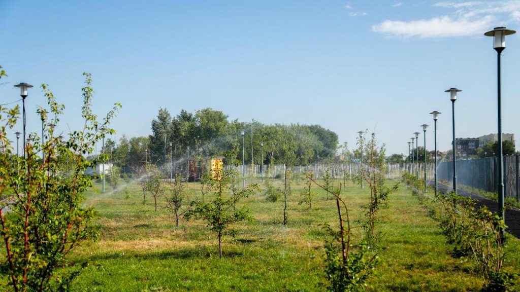 В Астане построят локальные поливочные системы