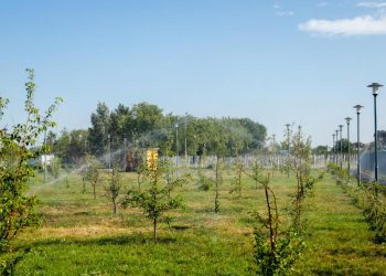 В Астане построят локальные поливочные системы