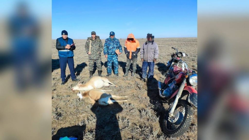 Двоих браконьеров задержали в степях Шалкарского района