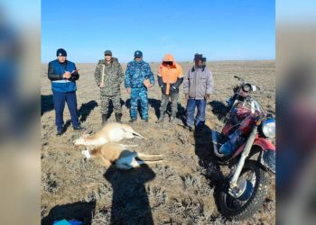 Двоих браконьеров задержали в степях Шалкарского района