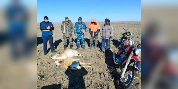 Двоих браконьеров задержали в степях Шалкарского района