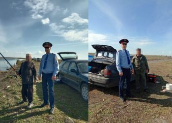 Какие нарушения чаще всего допускают североказахстанцы на природе