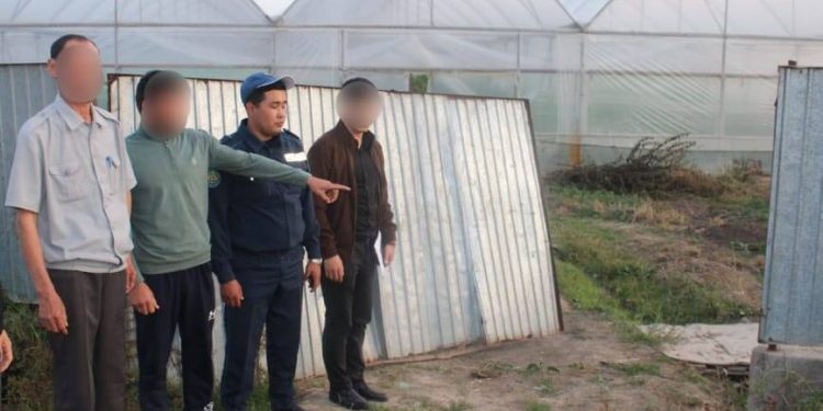 Инструменты украл из теплицы житель Туркестанской области
