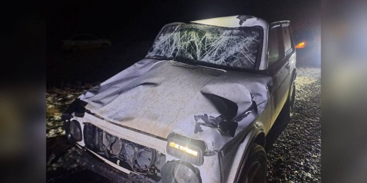 Лошадь спровоцировала ДТП на трассе в Павлодарской области