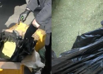 Спецоперация в Алматы: 151 кг гашиша изъят на въезде в мегаполис