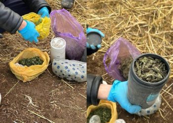 1 кг наркотиков изъяли у сельчанина в Кызылординской области