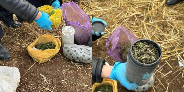 1 кг наркотиков изъяли у сельчанина в Кызылординской области