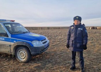 800 пропавших овец на 35 млн тенге нашли полицейские Костанайской области
