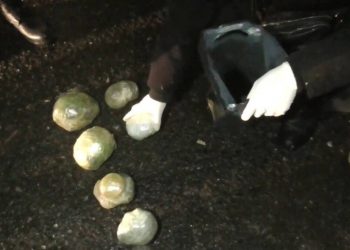 Более килограмма наркотиков изъяли у жителя Усть-Каменогорска