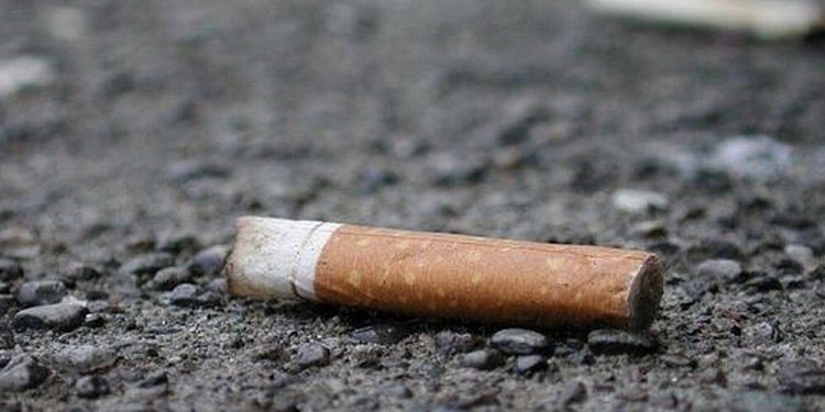 Выкинул окурок на тротуар: павлодарца оштрафовали