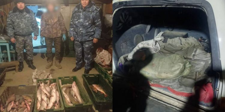 За ловлю рыбы в запретной зоне задержали жителя ВКО