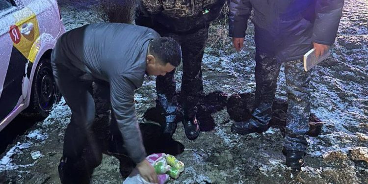 Мужчина пытался перебросить алкоголь в колонию Алматинской области