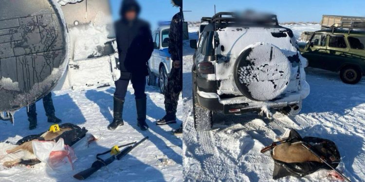 Мужчину, стрелявшего в джейрана, задержали в Жамбылской области
