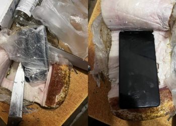 Сало с телефоном пытались передать в колонию Алматинской области