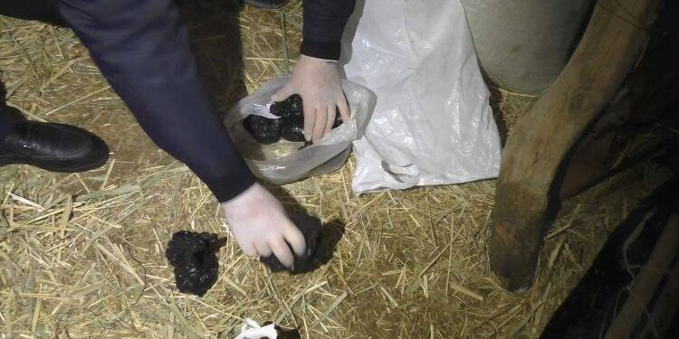 Крупную партию марихуаны и гашиша изъяла полиция у жителя Жамбылской области