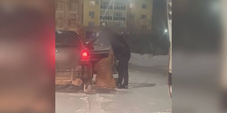 Пьяный водитель устроил ссору с супругой на дороге в Астане