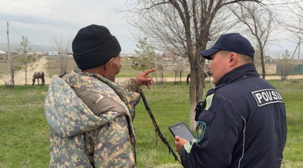 Более 350 скотовладельцев наказали за нарушение правил выпаса скота в Жетісу