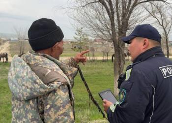 Более 350 скотовладельцев наказали за нарушение правил выпаса скота в Жетісу