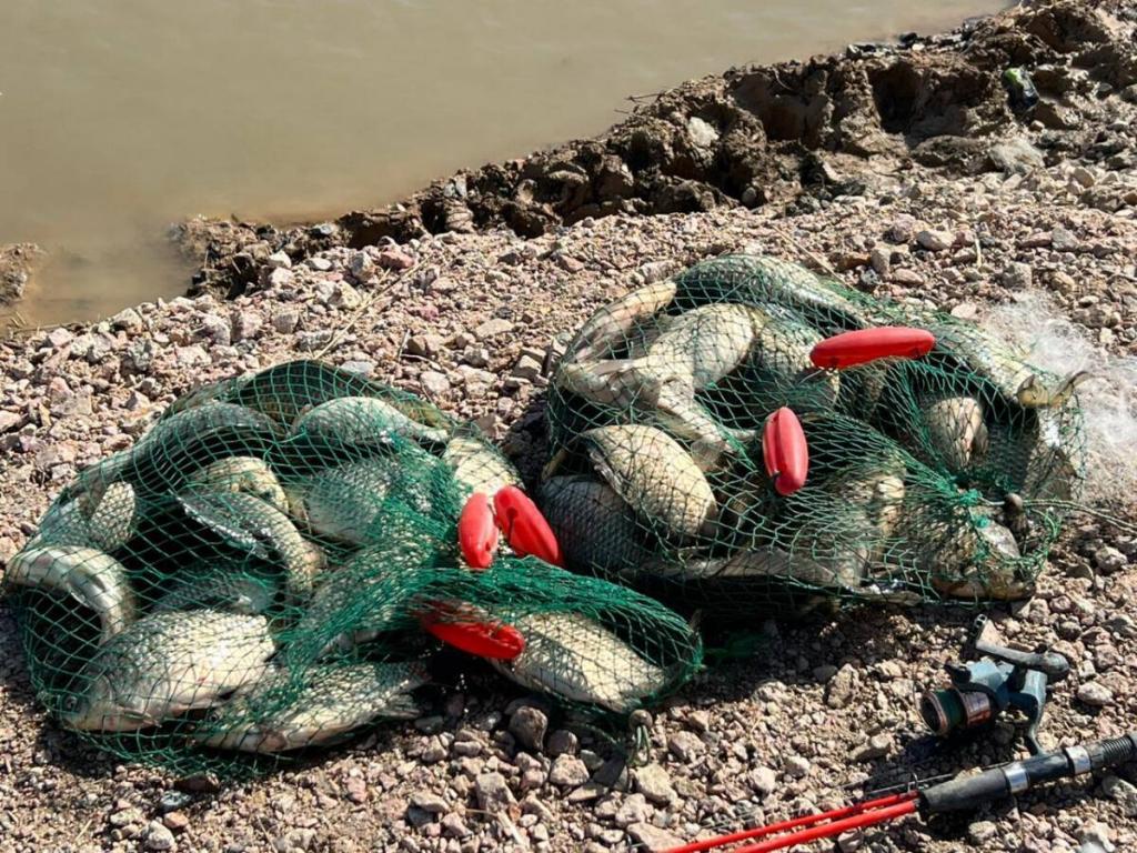 Полицейские привлекли 12 нарушителей правил рыболовства в зоне паводка в СКО