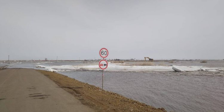Полицейские временно изъяли ружья у охотников в зоне возможного подтопления в СКО
