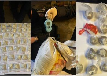 Погреб с марихуаной обнаружили под гаражом шымкентца