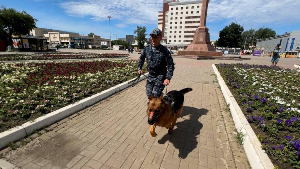 Более 200 преступлений помогли раскрыть служебные собаки в Акмолинской области