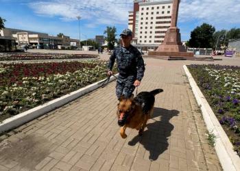 Более 200 преступлений помогли раскрыть служебные собаки в Акмолинской области