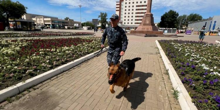 Более 200 преступлений помогли раскрыть служебные собаки в Акмолинской области