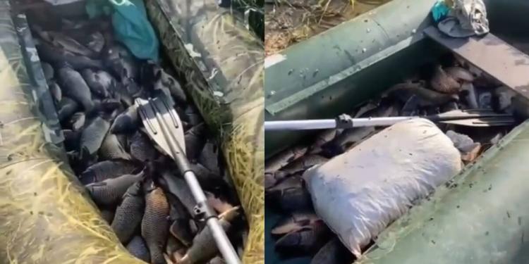 Более 70 кг рыбы изъяли у браконьеров в Актюбинской области