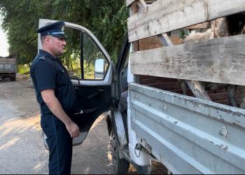 Две преступные группы барымтачей ликвидированы полицией в Жамбылском районе