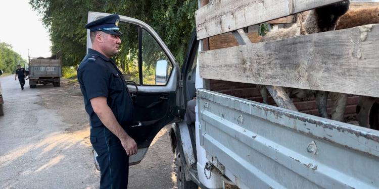 Две преступные группы барымтачей ликвидированы полицией в Жамбылском районе