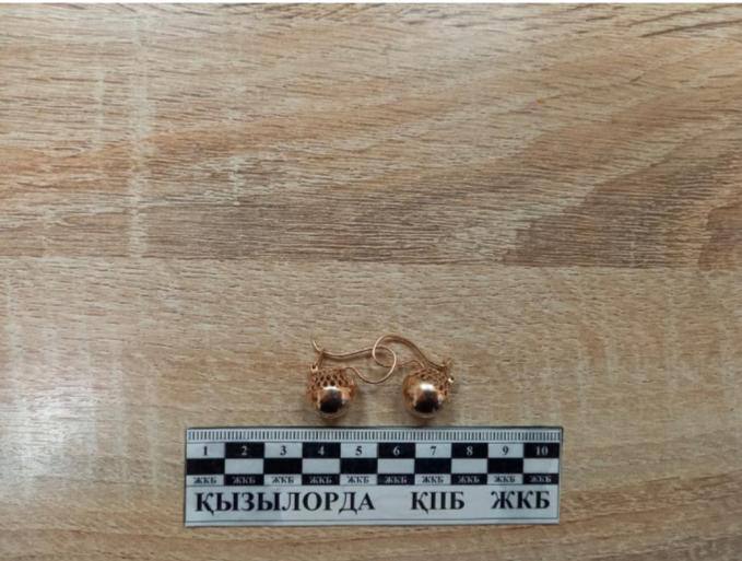 Профессиональный вор-домушник задержан полицейскими в Кызылорде