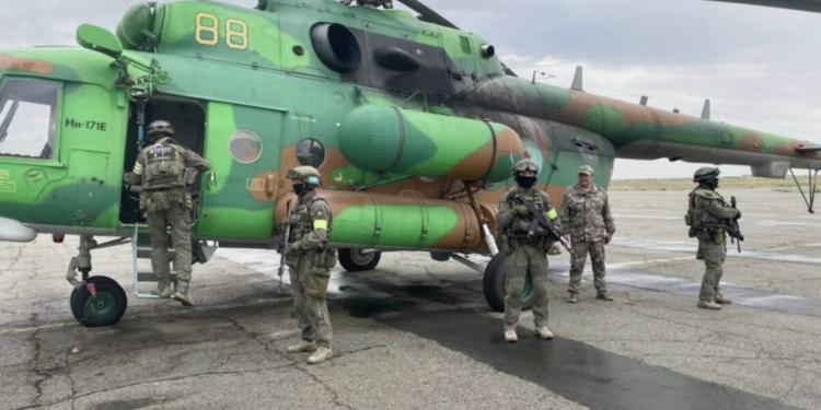 Две плантации конопли выявили полицейские с помощью вертолета в области Улытау