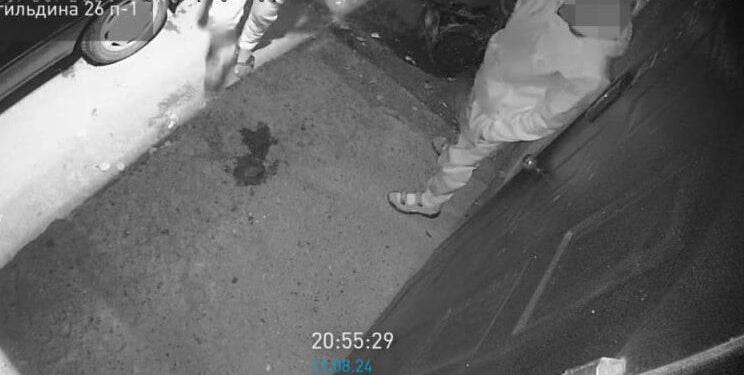 Полицейские раскрыли кражу мотора от авто в Астане