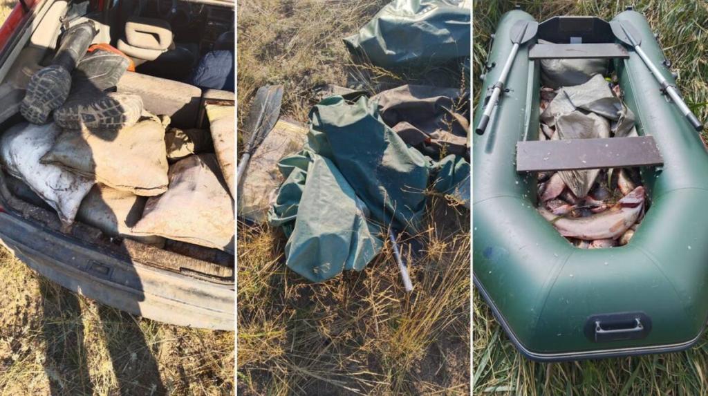 Два факта браконьерства выявлено во время рейда в Карагандинской области