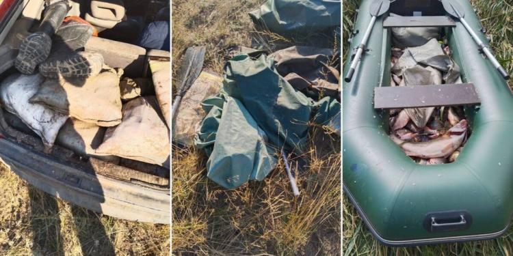 Два факта браконьерства выявлено во время рейда в Карагандинской области