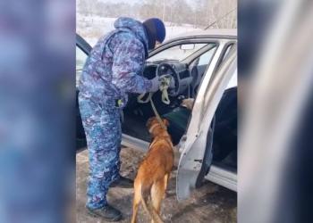 Меньше чем за 5 минут: служебная собака нашла наркотики в авто астанчанина